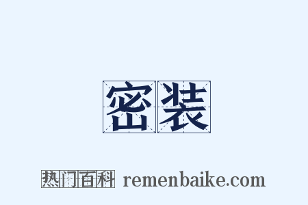 密装是什么意思的图片